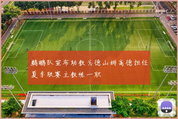 鹈鹕队宣布助教戈德山姆高德担任夏季联赛主教练一职